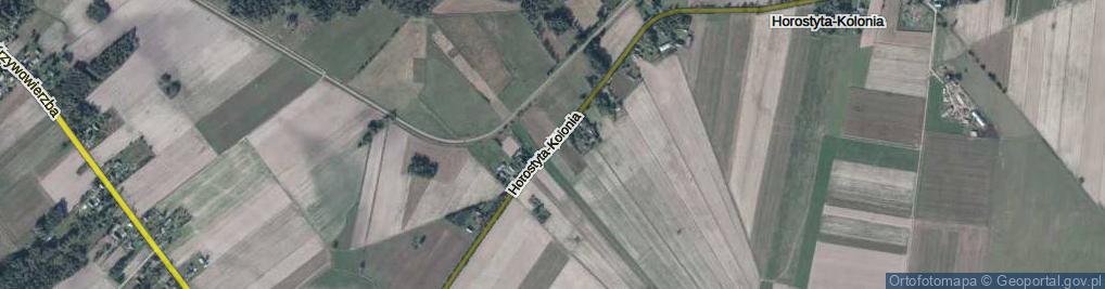 Zdjęcie satelitarne Horostyta-Kolonia ul.