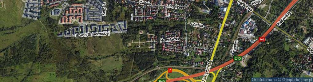 Zdjęcie satelitarne Homolacsa Karola ul.