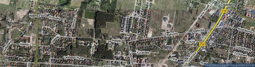 Zdjęcie satelitarne Homarowa ul.