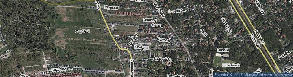 Zdjęcie satelitarne Hortensji ul.