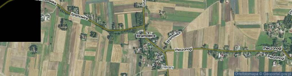 Zdjęcie satelitarne Ibramowice ul.