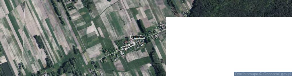 Zdjęcie satelitarne Ignaców ul.