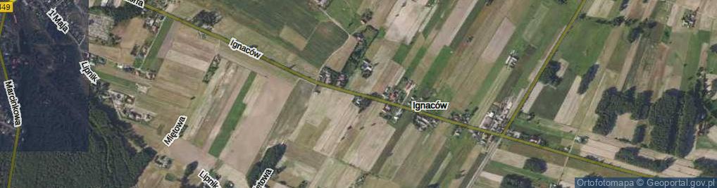 Zdjęcie satelitarne Ignaców ul.