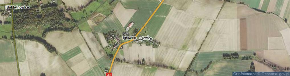 Zdjęcie satelitarne Igłowice ul.