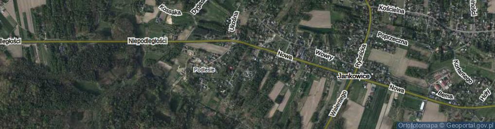 Zdjęcie satelitarne Iglasta ul.