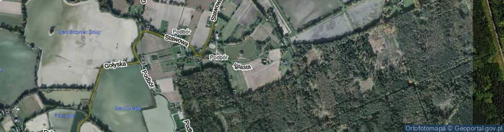 Zdjęcie satelitarne Iglasta ul.