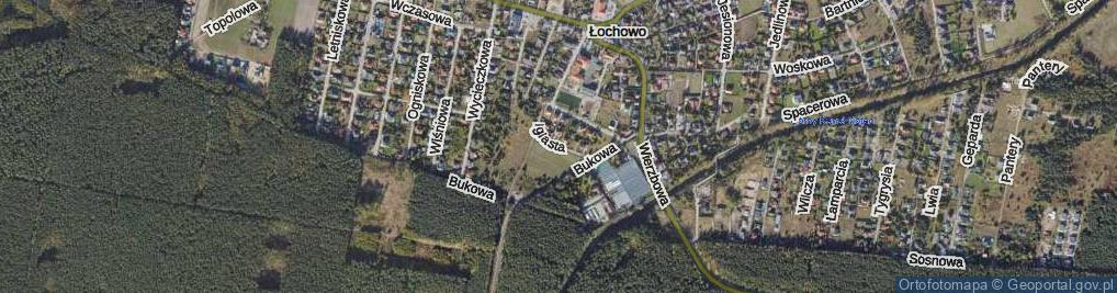 Zdjęcie satelitarne Iglasta ul.