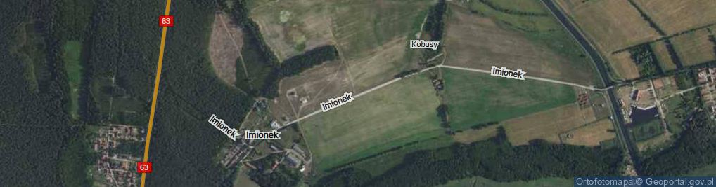 Zdjęcie satelitarne Imionek ul.