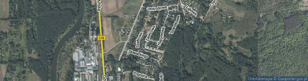 Zdjęcie satelitarne Irysowa ul.