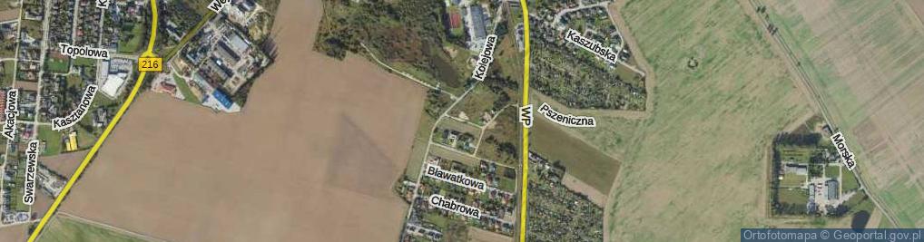 Zdjęcie satelitarne Irysowa ul.