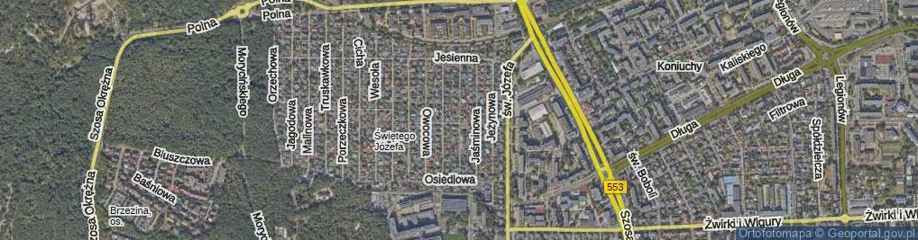 Zdjęcie satelitarne Irysowa ul.