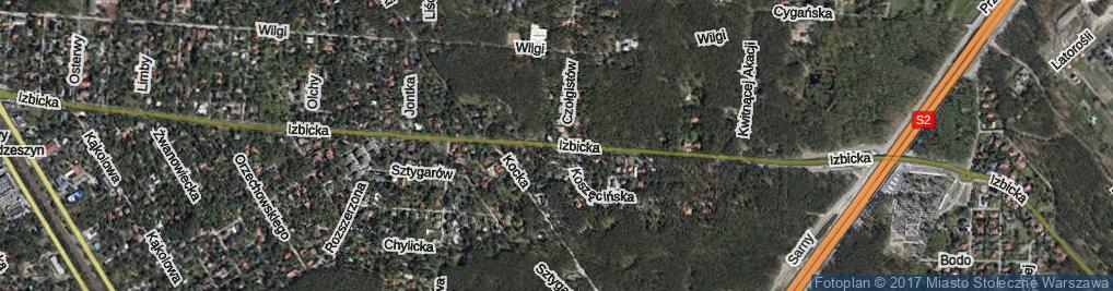 Zdjęcie satelitarne Izbicka ul.