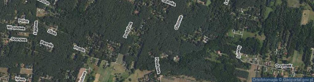 Zdjęcie satelitarne Jagodowa ul.