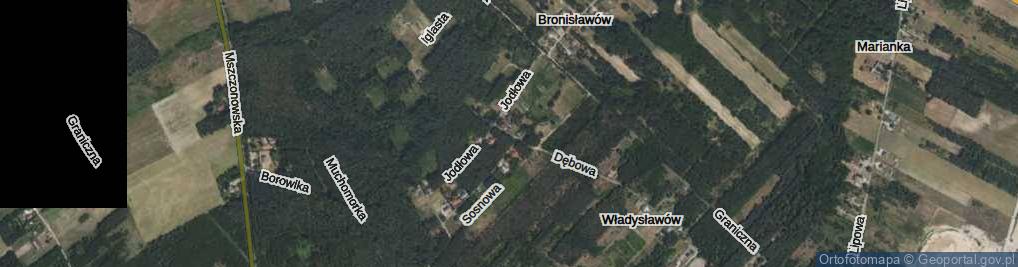 Zdjęcie satelitarne Jaworowa ul.