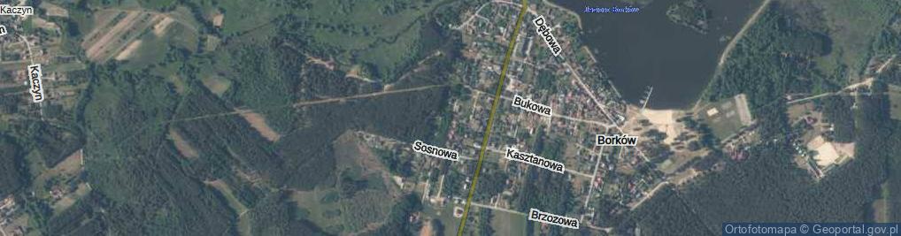 Zdjęcie satelitarne Jałowcowa ul.