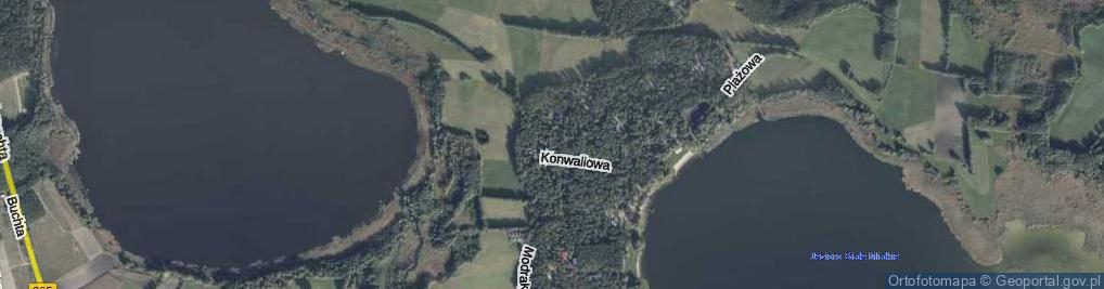 Zdjęcie satelitarne Jagodowa ul.