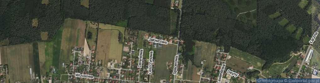Zdjęcie satelitarne Jałowcowa ul.
