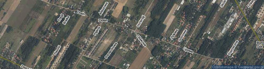 Zdjęcie satelitarne Jarzębinowa ul.