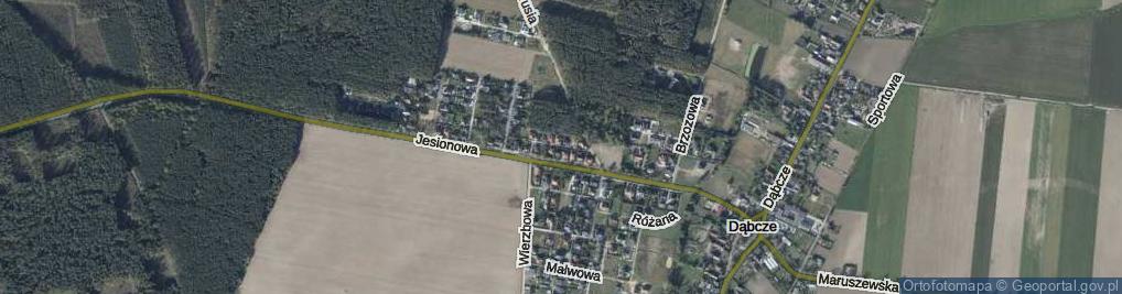 Zdjęcie satelitarne Jarzębinowa ul.