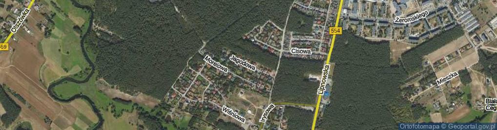 Zdjęcie satelitarne Jagodowa ul.