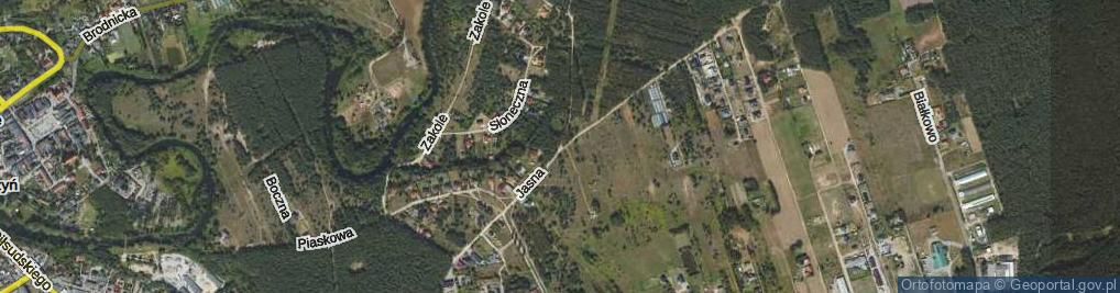 Zdjęcie satelitarne Jasna ul.