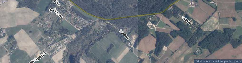 Zdjęcie satelitarne Jagodowa ul.