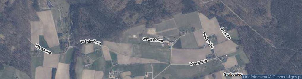 Zdjęcie satelitarne Jarzębinowa ul.