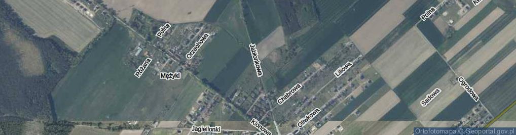 Zdjęcie satelitarne Jabłonkowa ul.