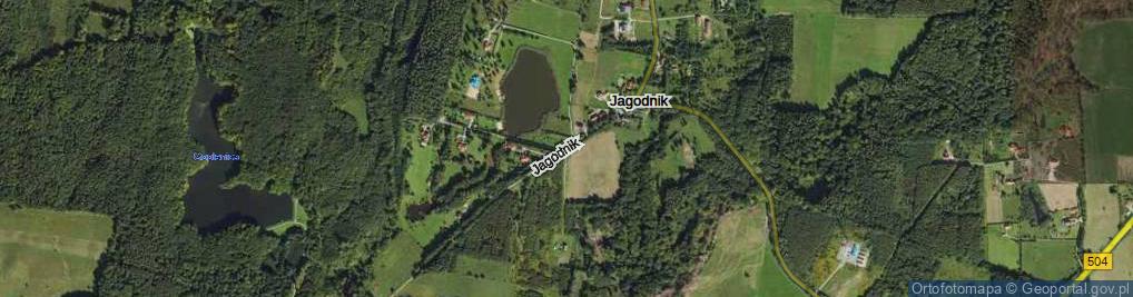 Zdjęcie satelitarne Jagodnik ul.