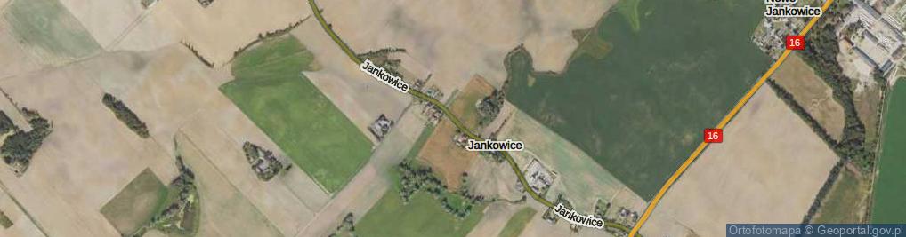 Zdjęcie satelitarne Jankowice ul.