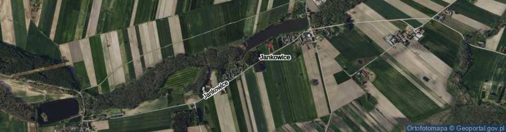 Zdjęcie satelitarne Jankowice ul.
