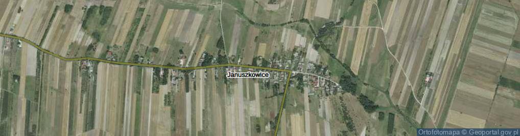 Zdjęcie satelitarne Januszkowice ul.