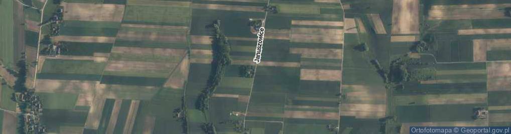Zdjęcie satelitarne Januszowice ul.