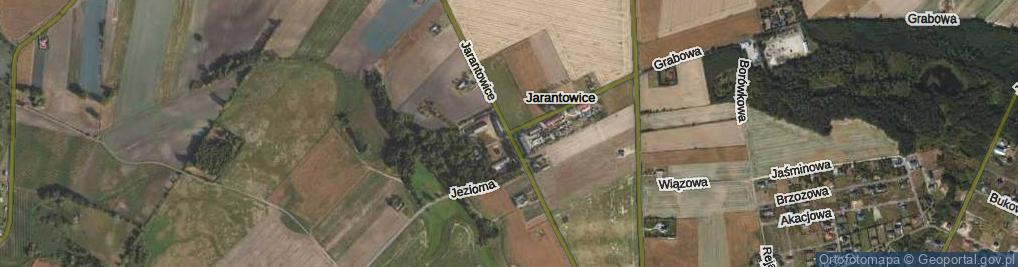 Zdjęcie satelitarne Jarantowice ul.