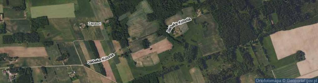 Zdjęcie satelitarne Jałówka-Kolonia ul.