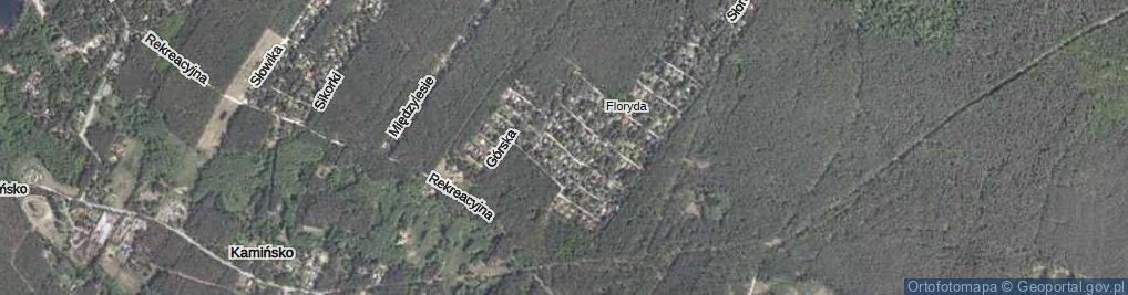 Zdjęcie satelitarne Jaśminowa ul.