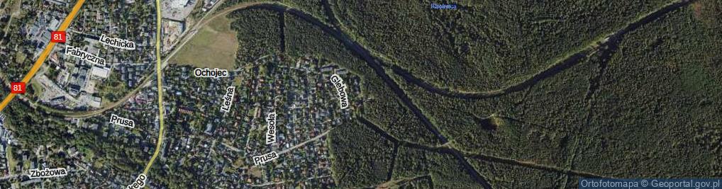 Zdjęcie satelitarne Jarzębinowa ul.