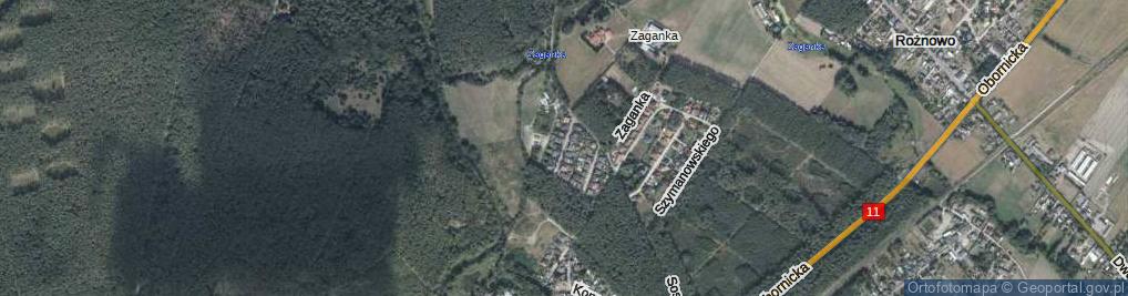 Zdjęcie satelitarne Jałowcowa ul.