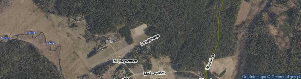Zdjęcie satelitarne Jarzębinowa ul.
