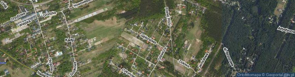 Zdjęcie satelitarne Jabłoniowa ul.