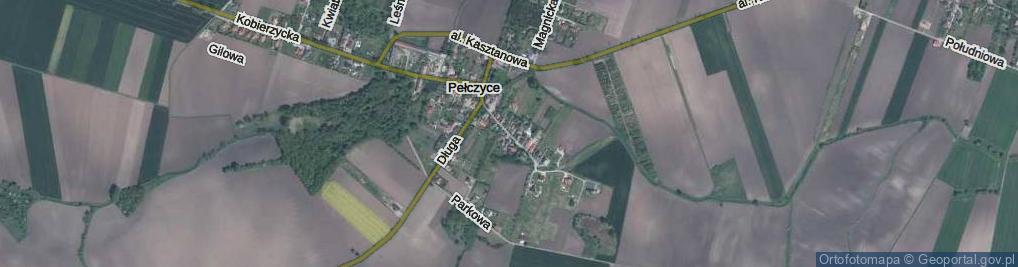 Zdjęcie satelitarne Jarzębinowa ul.