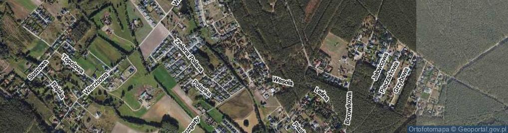 Zdjęcie satelitarne Jagodowa ul.