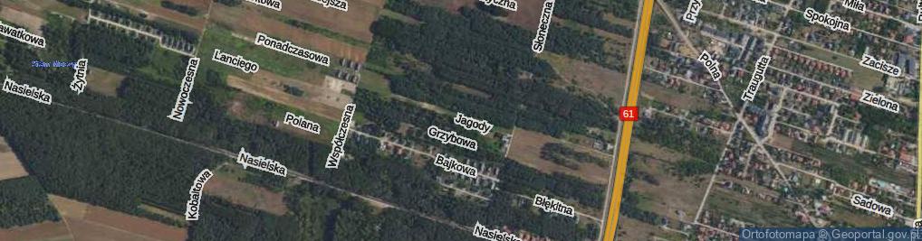 Zdjęcie satelitarne Jagody ul.