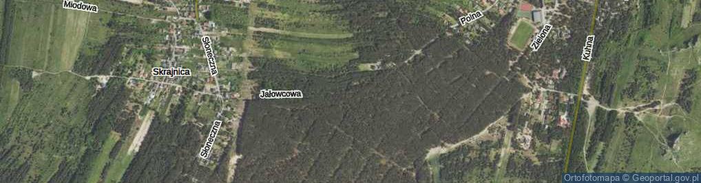 Zdjęcie satelitarne Jałowcowa ul.