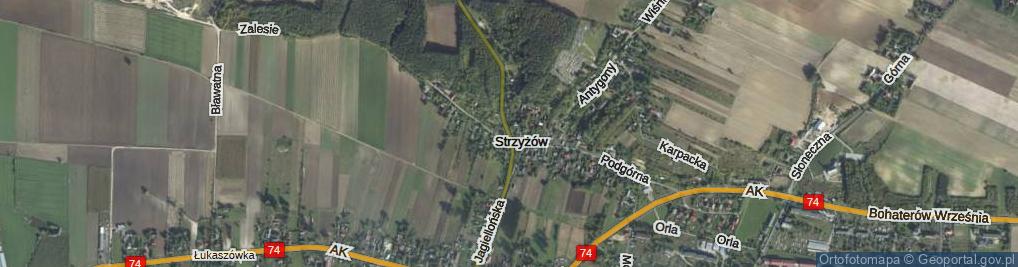 Zdjęcie satelitarne Jagiellońska ul.