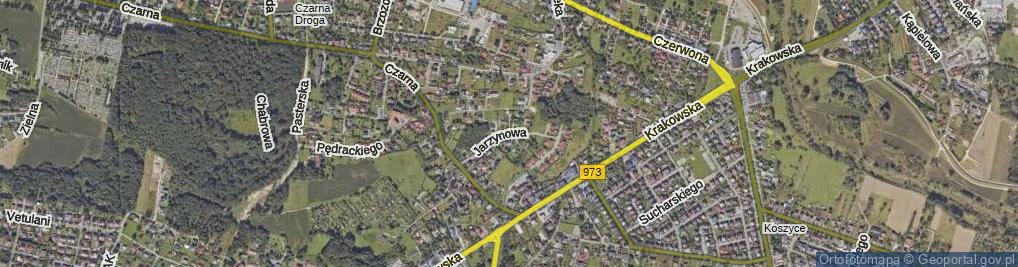 Zdjęcie satelitarne Jarzynowa ul.