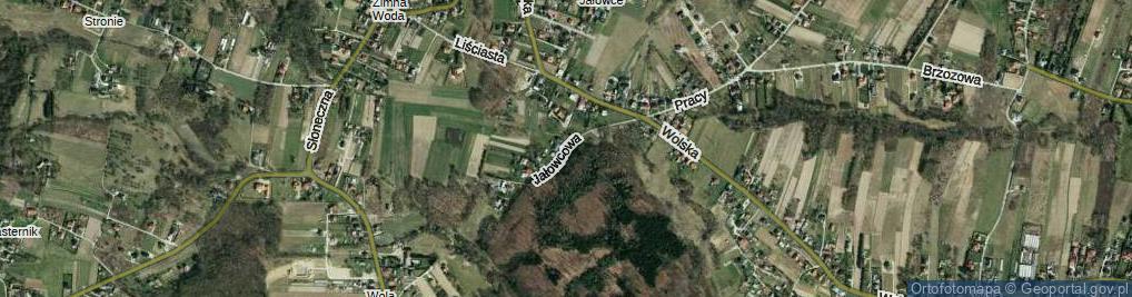 Zdjęcie satelitarne Jałowcowa ul.