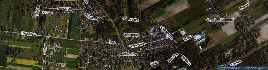 Zdjęcie satelitarne Jagodowa ul.