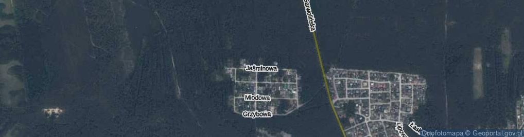 Zdjęcie satelitarne Jaśminowa ul.