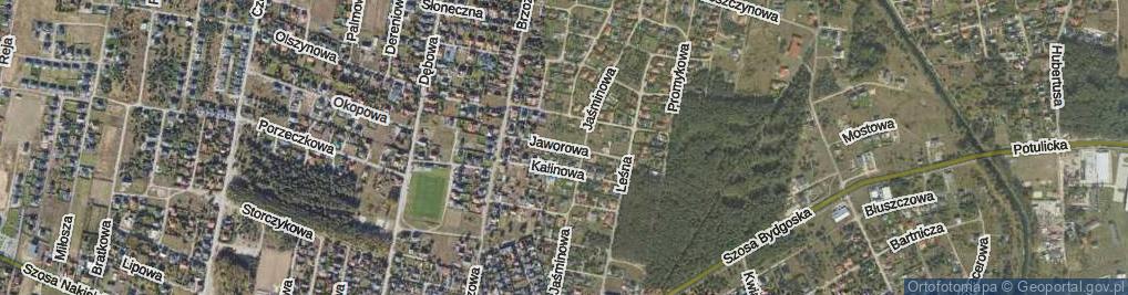 Zdjęcie satelitarne Jaworowa ul.